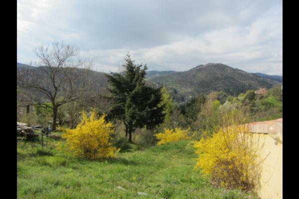 Gite De La Suche Lamastre Buitenkant foto